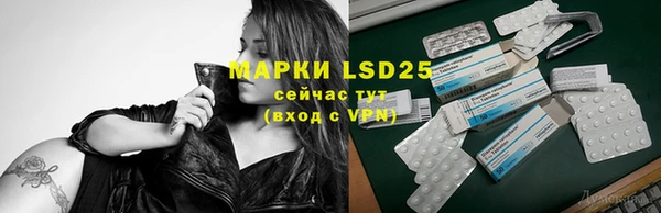 молекула духа Горнозаводск