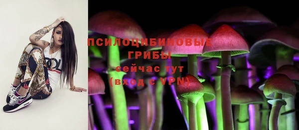 ALPHA PVP Горно-Алтайск