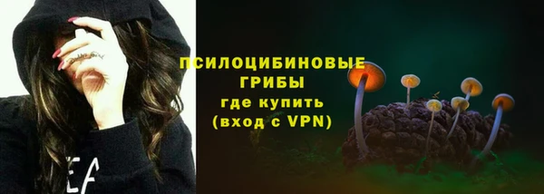 ПСИЛОЦИБИНОВЫЕ ГРИБЫ Володарск