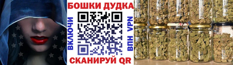 МАРИХУАНА сатива  Дигора 
